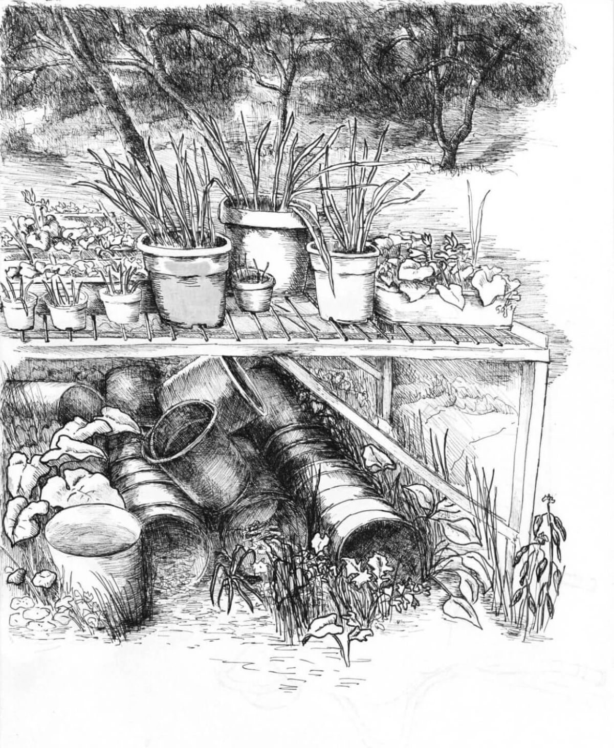 Illustration: © www.refaellashir.com