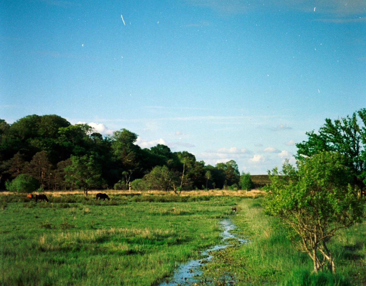 Foto von Annie Spratt auf Unsplash